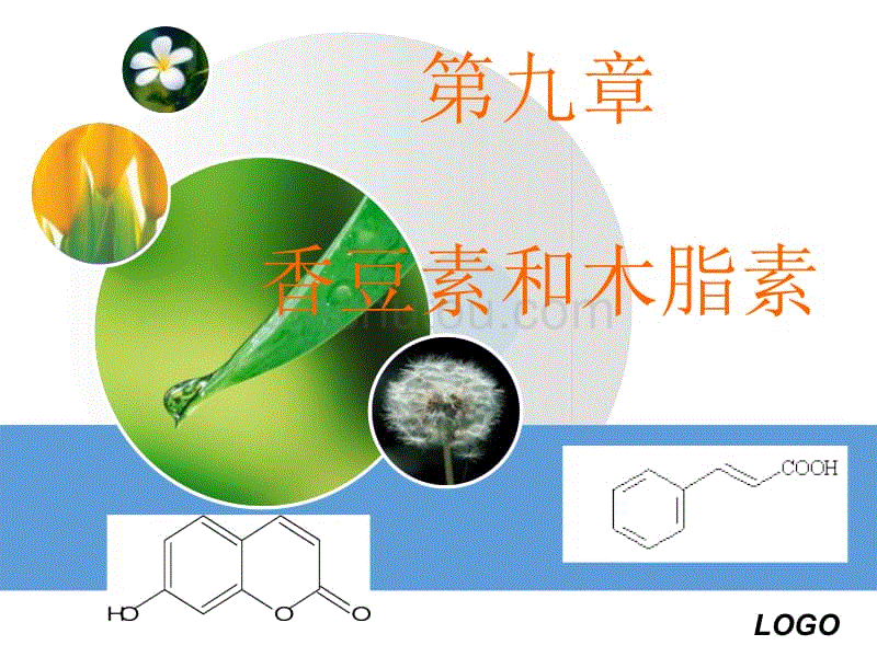 香豆素与木质素-1