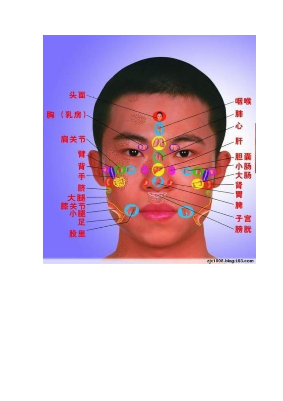 面部位置对应器官图片