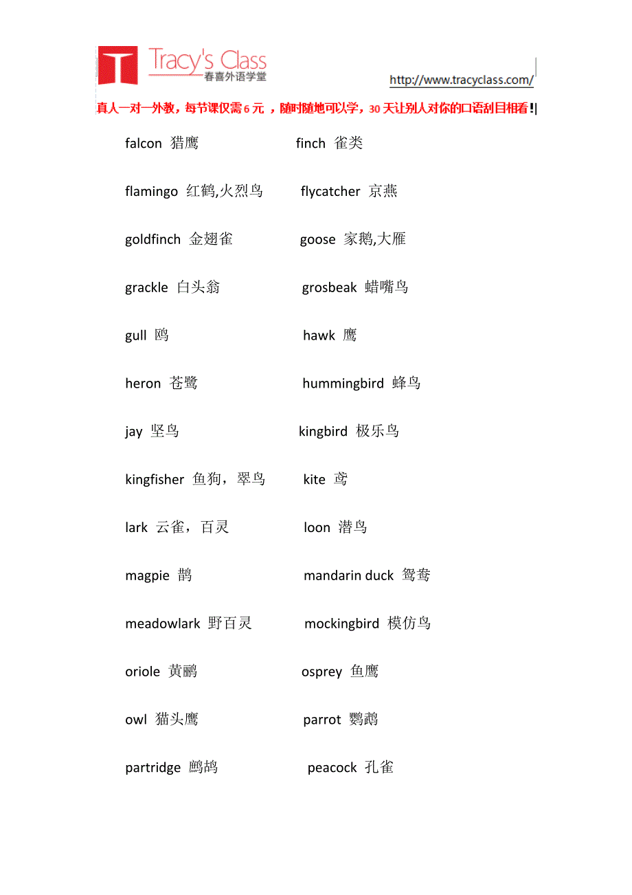 最全的鳥兒種類英語表達趕快收藏起來吧_第2頁