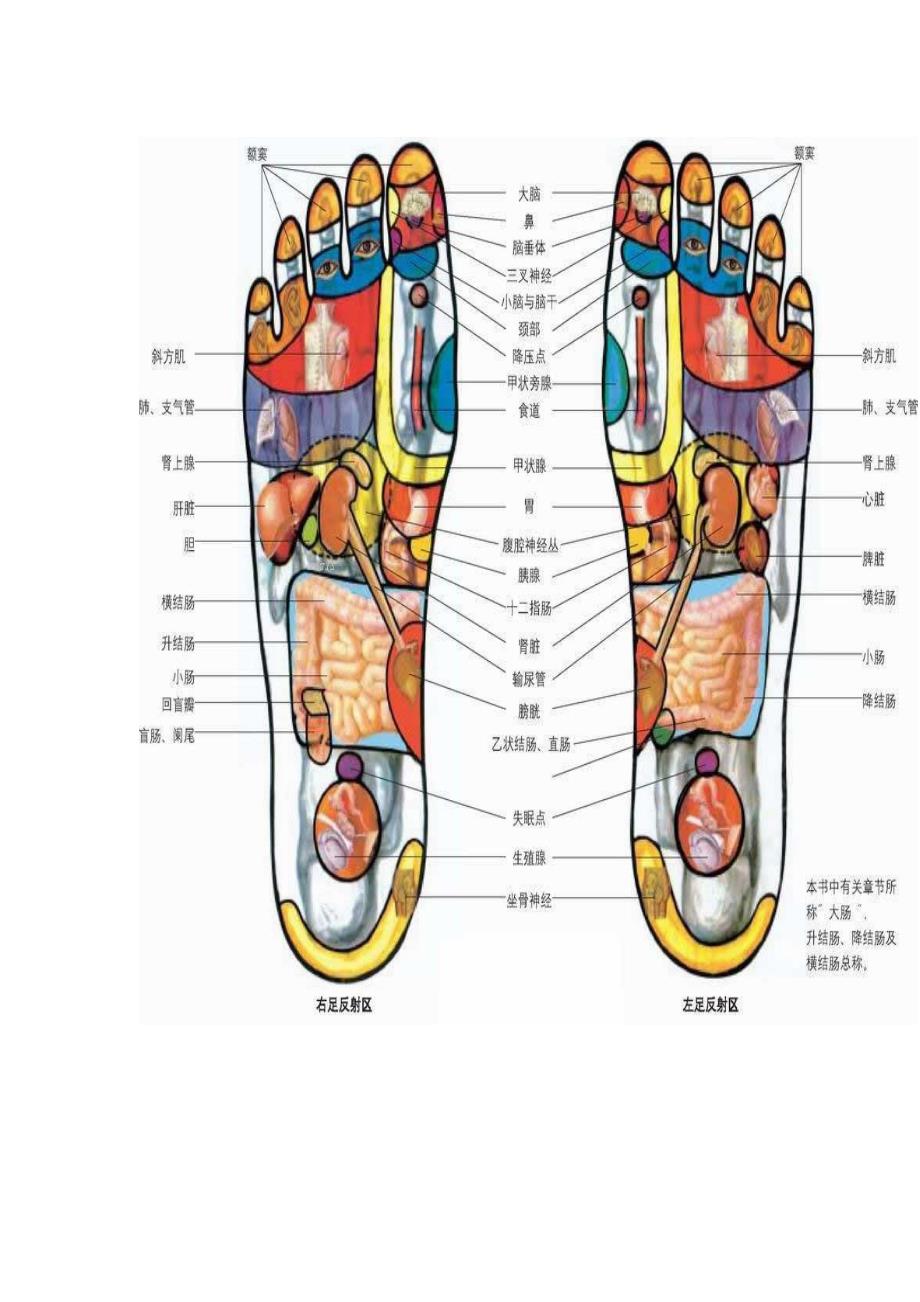 人体脚部穴位图足疗口诀