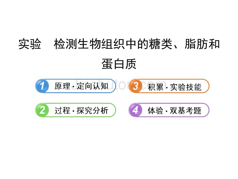 配套课件人教·安徽天津专用12实验检测生物组织中的糖类脂肪和蛋白质