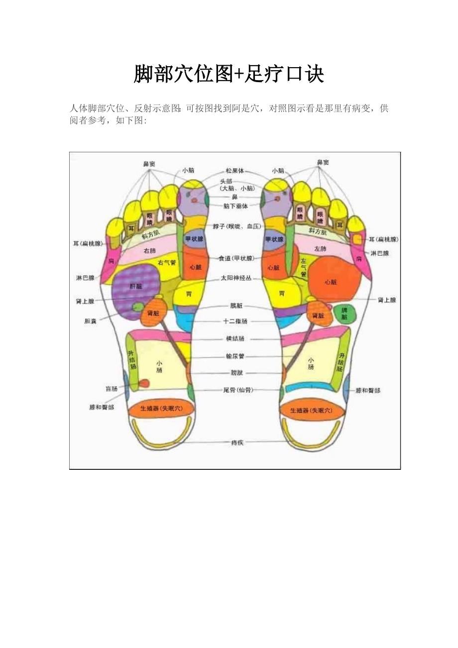 腳部穴位圖 足療口訣_第1頁