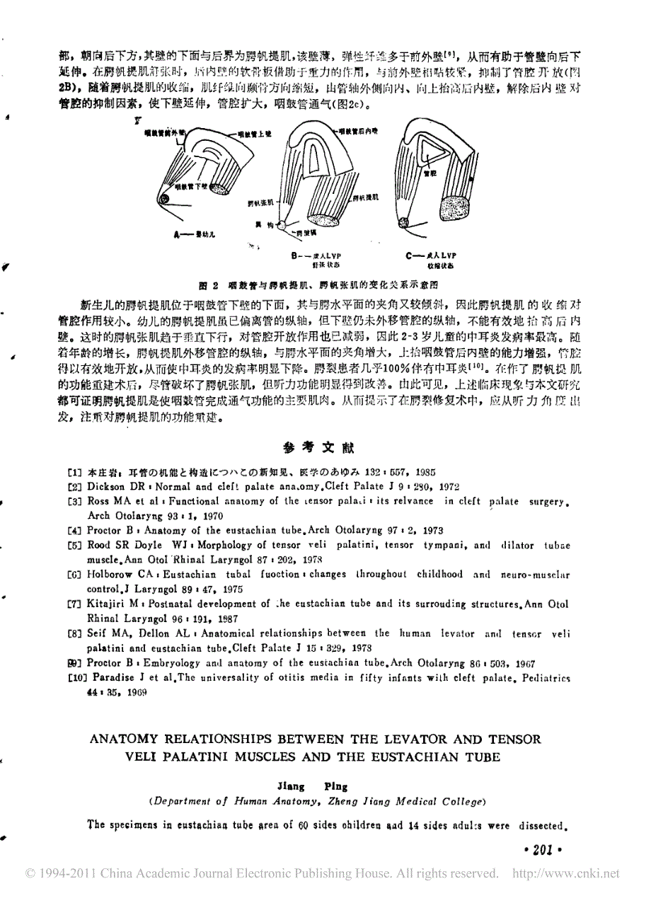 腭帆提肌图片